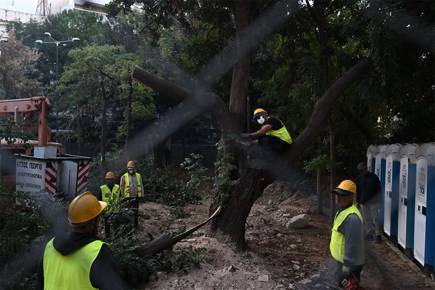 Ο πόλεμος της χαρουπιάς στα Εξάρχεια: Δεν θα κοπούν δένδρα, λένε από το Μετρό - Η μελέτη δεν είναι σοβαρή,  απαντά ο Δούκας 