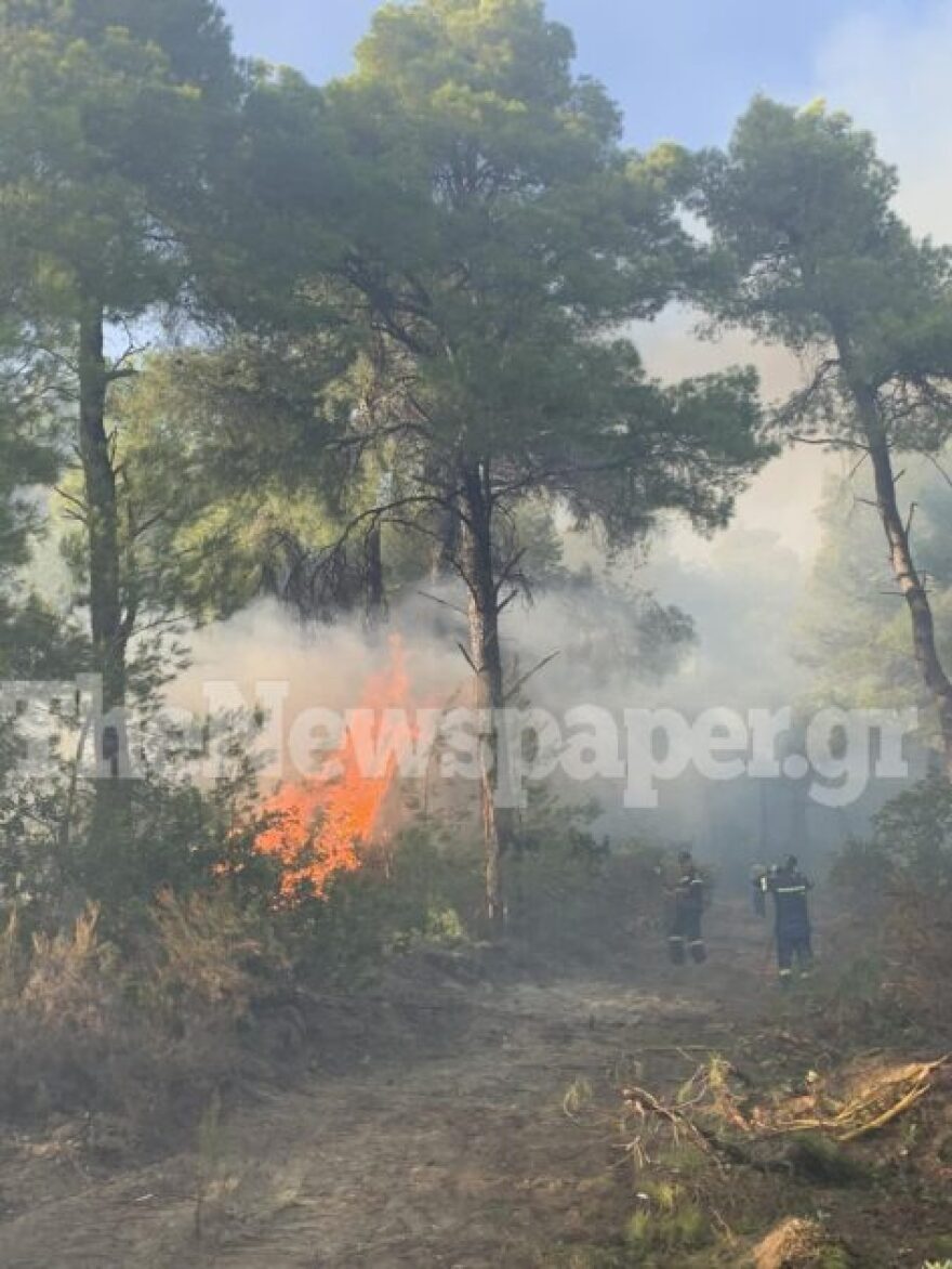 Φωτιά σε δασική έκταση στο Πήλιο