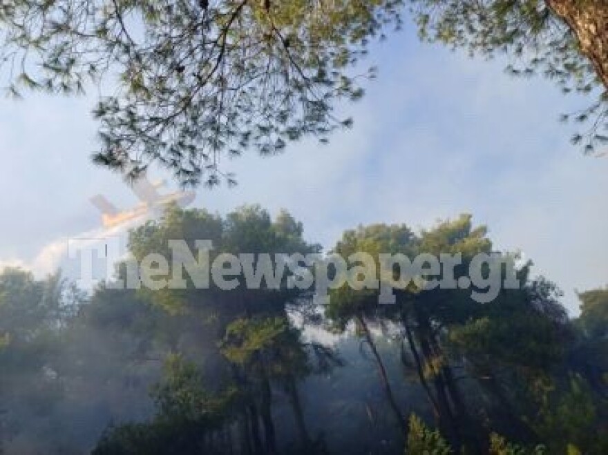 Φωτιά σε δασική έκταση στο Πήλιο