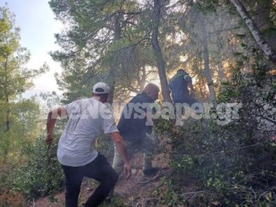 Φωτιά σε δασική έκταση στο Πήλιο