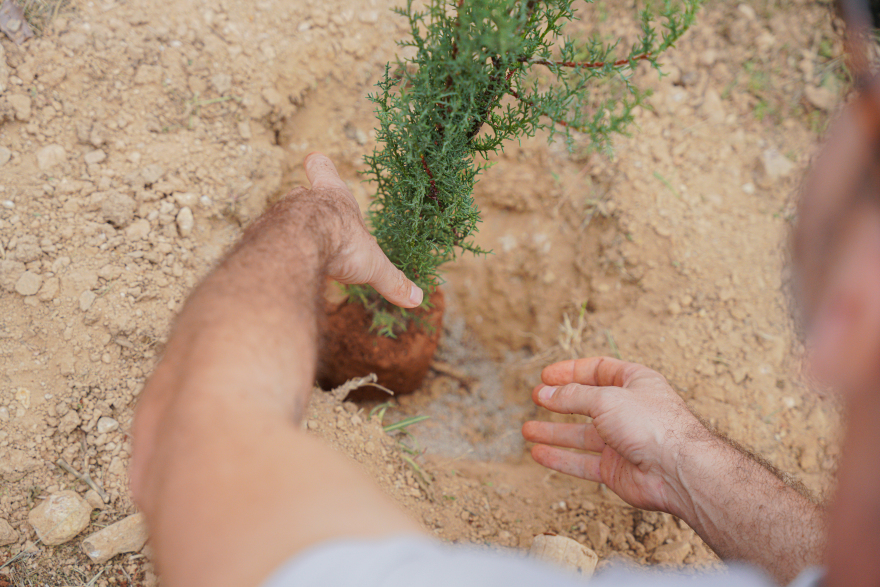 Βίκος Α.Ε.: Πνοή στο αστικό τοπίο, με τη φύτευση ακόμη 1.000 δενδρυλλίων