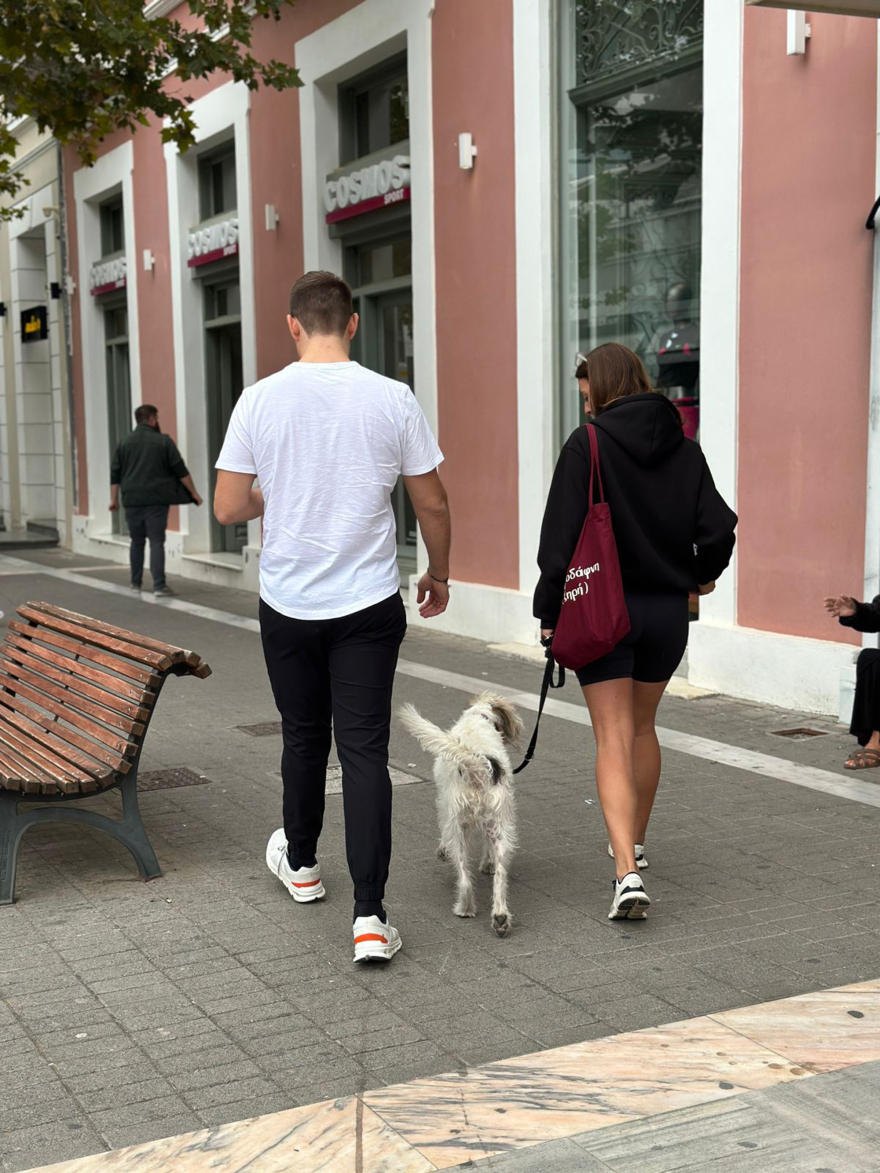 Στέφανος Κασσελάκης: Στην Καλαμάτα και την Σπάρτη μετά το «διάγγελμα»