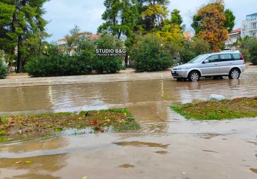 Κακοκαιρία: Πτώσεις δέντρων, πλημμύρισαν σπίτια και δρόμοι στην Αργολίδα - Δείτε βίντεο