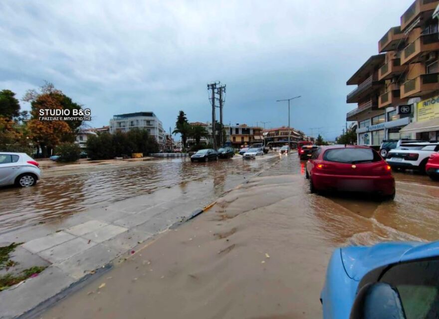 Κακοκαιρία: Πτώσεις δέντρων, πλημμύρισαν σπίτια και δρόμοι στην Αργολίδα - Δείτε βίντεο