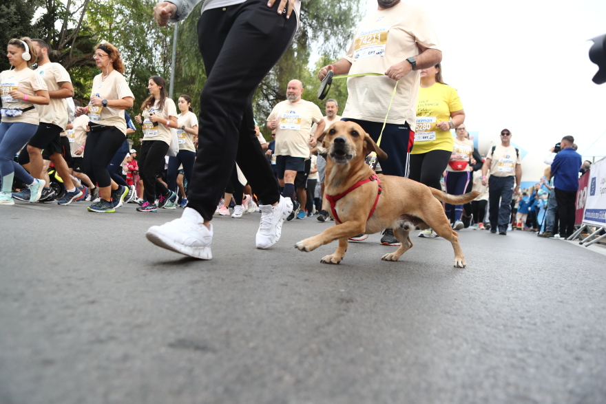 Μαραθώνιος: Μεγάλος νικητής ο Κενυάτης Κίπτο με νέο ρεκόρ διαδρομής - Παναγιώτης Καραΐσκος ο πρώτος Έλληνας