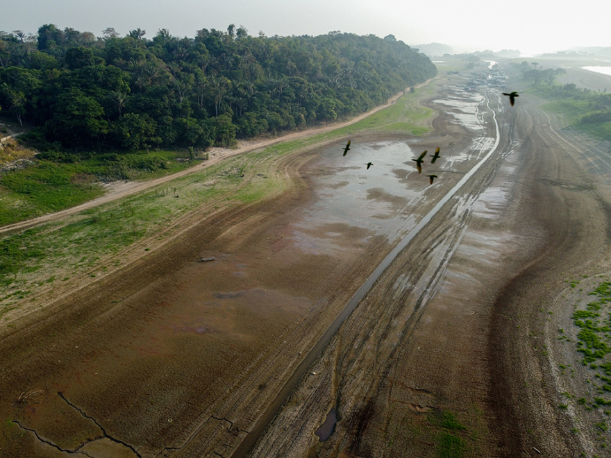 Η κλιματική κρίση, η άνοδος της θερμοκρασίας και η ξηρασία θα μετατρέψουν τον Αμαζόνιο σε άγονη θαμνώδη έκταση