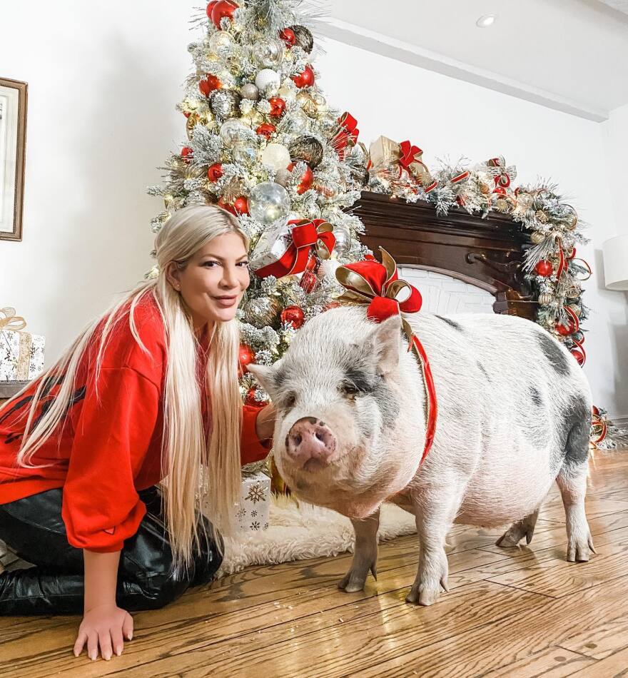 Τόρι Σπέλινγκ: Ο πρώην σύζυγός της λέει «ξαφνικά ήθελε να κοιμόμαστε με τους σκύλους και το γουρούνι»