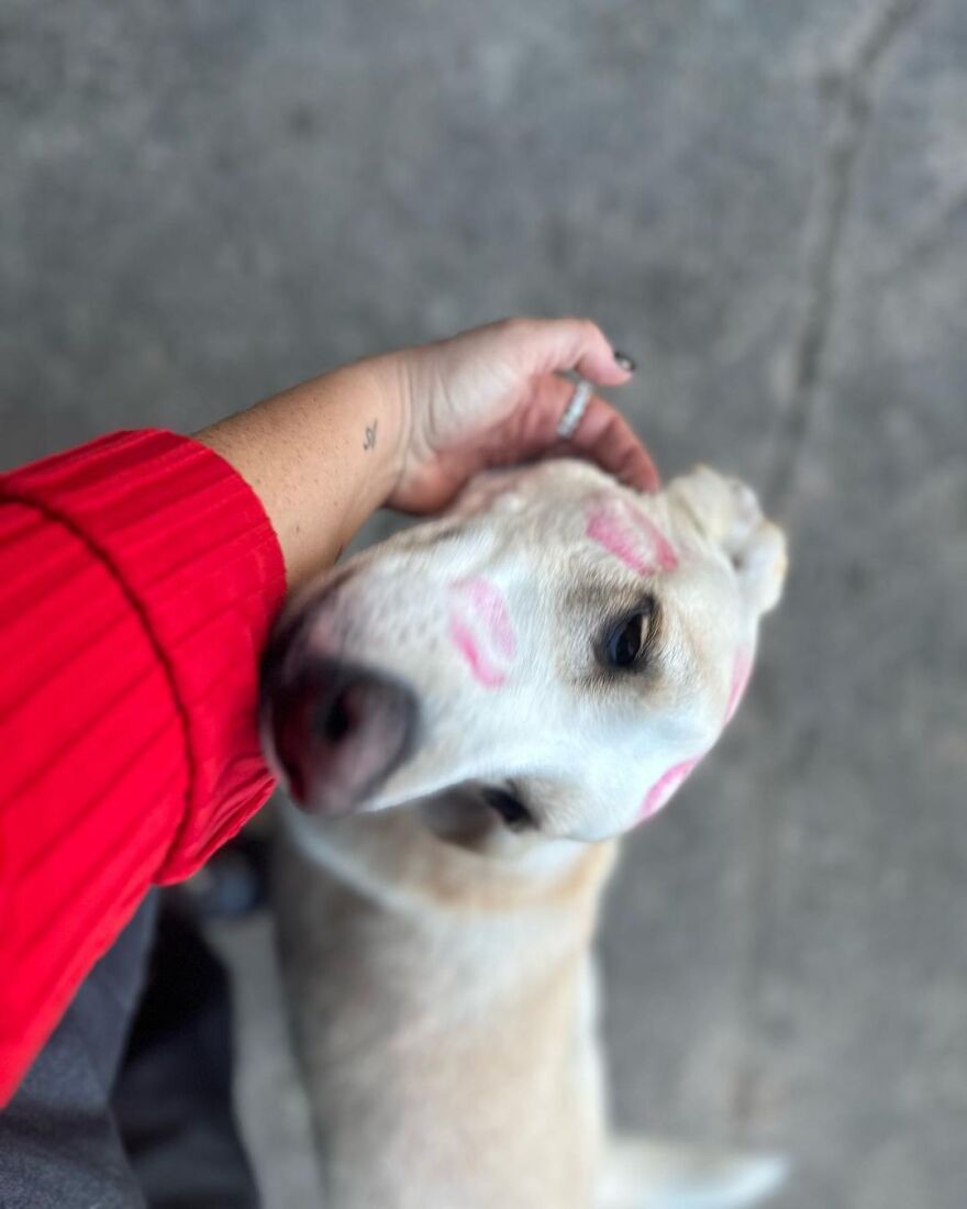 Η Δανάη Μπάρκα στην παλιά της γειτονιά: «Μπορείς να βγάλεις το κορίτσι απ' το Περιστέρι, αλλά όχι το Περιστέρι απ' το κορίτσι»