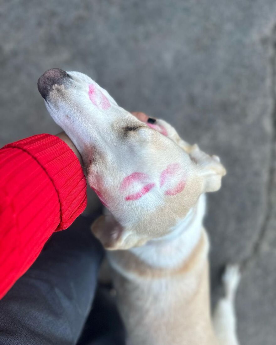 Η Δανάη Μπάρκα στην παλιά της γειτονιά: «Μπορείς να βγάλεις το κορίτσι απ' το Περιστέρι, αλλά όχι το Περιστέρι απ' το κορίτσι»