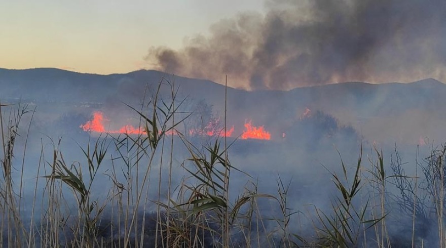 Νέα φωτιά στον Σχινιά, κοντά στο κωπηλατοδρόμιο