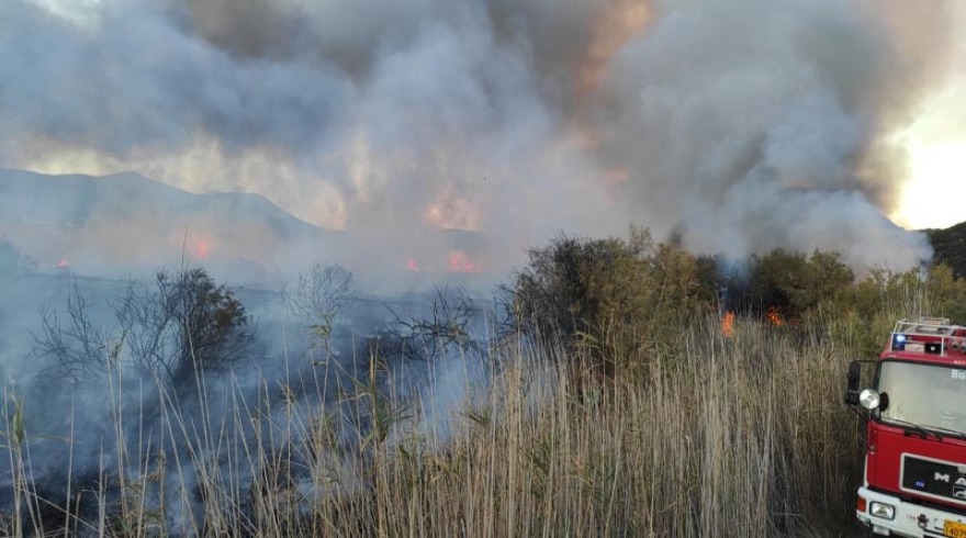 Νέα φωτιά στον Σχινιά, κοντά στο κωπηλατοδρόμιο