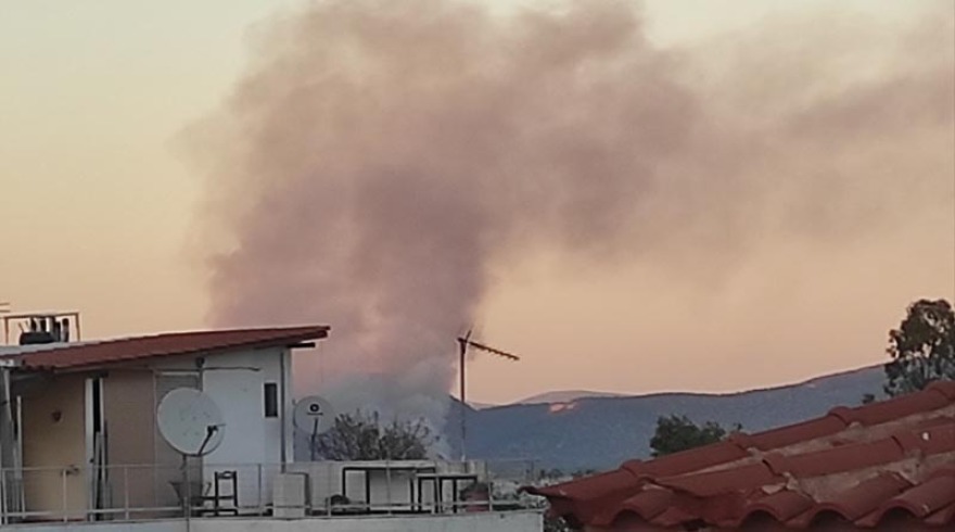 Νέα φωτιά στον Σχινιά, κοντά στο κωπηλατοδρόμιο