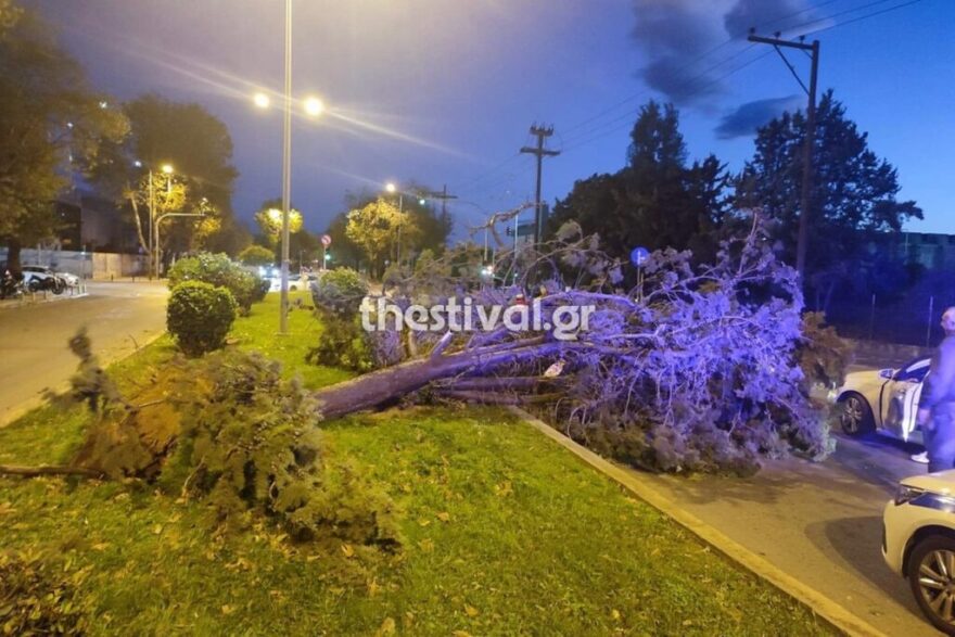 Καιρός: Θυελλώδεις βοριάδες και αισθητή πτώση της θερμοκρασίας σήμερα - Ξεπέρασαν τα 100 χλμ/ώρα χθες οι άνεμοι