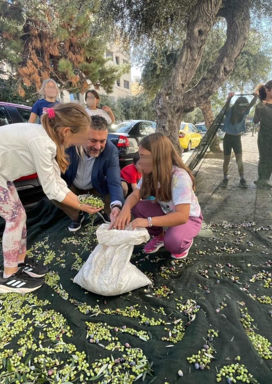 Παλαιό Φάληρο: Μάζεμα ελιάς προς ενίσχυση των κοινωνικών δομών του δήμου