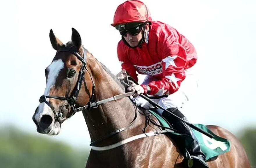 Σερ Άλεξ Φέργκιουσον: «Τρελάθηκε» με τη νίκη του αλόγου του σε διεθνή αγώνα στο Μπαχρέιν - Βίντεο 