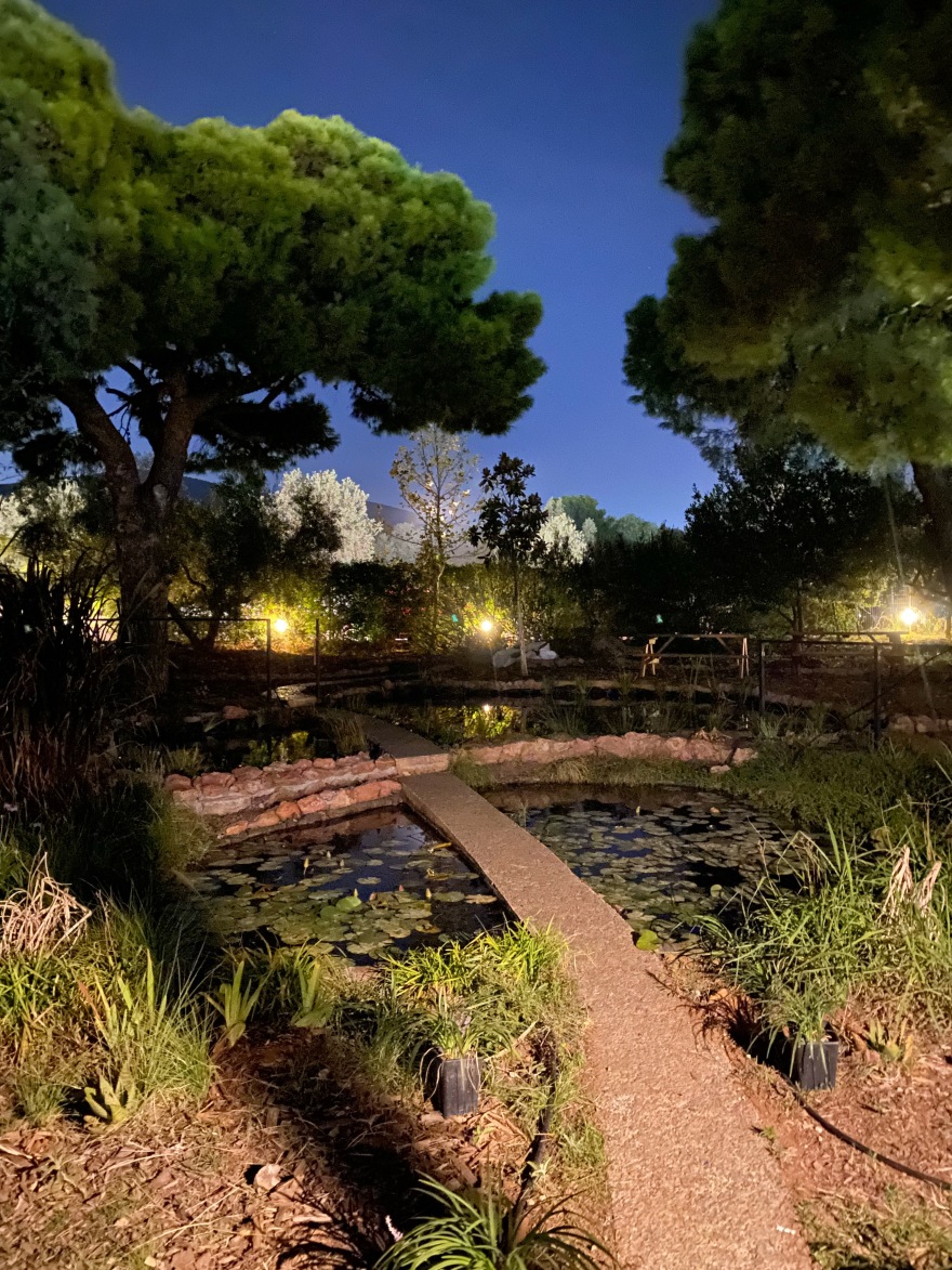 Περιβόλι στη Βάρη: Το αυθεντικό farm-to-table εστιατόριο που φέρνει τη φρεσκάδα του μποστανιού στο πιάτο μας