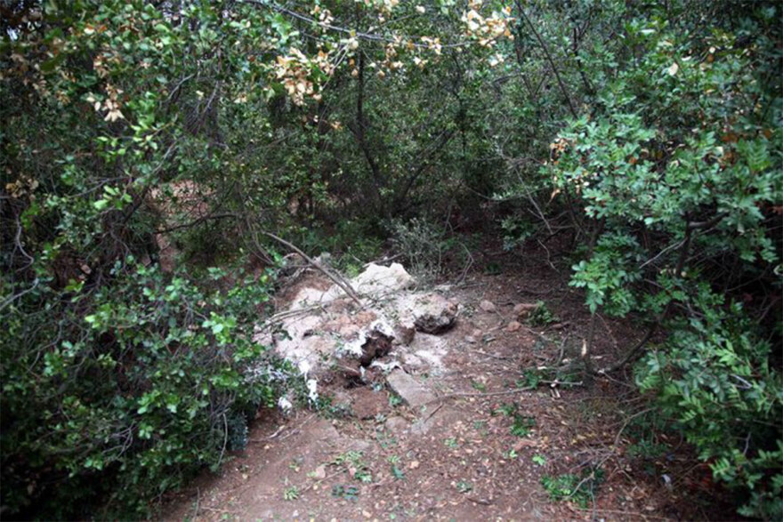 Γιάννης Κατσιλάμπρος: Ο καθηγητής μουσικής που τσιμέντωσε τη γυναίκα του στο πάρκο που έπαιζαν τα παιδιά τους 