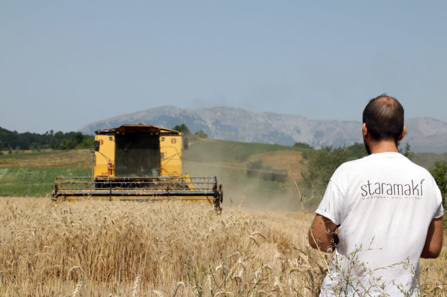 Φροντίδα για το περιβάλλον με καλαμάκια από το φυσικό στέλεχος των σιτηρών