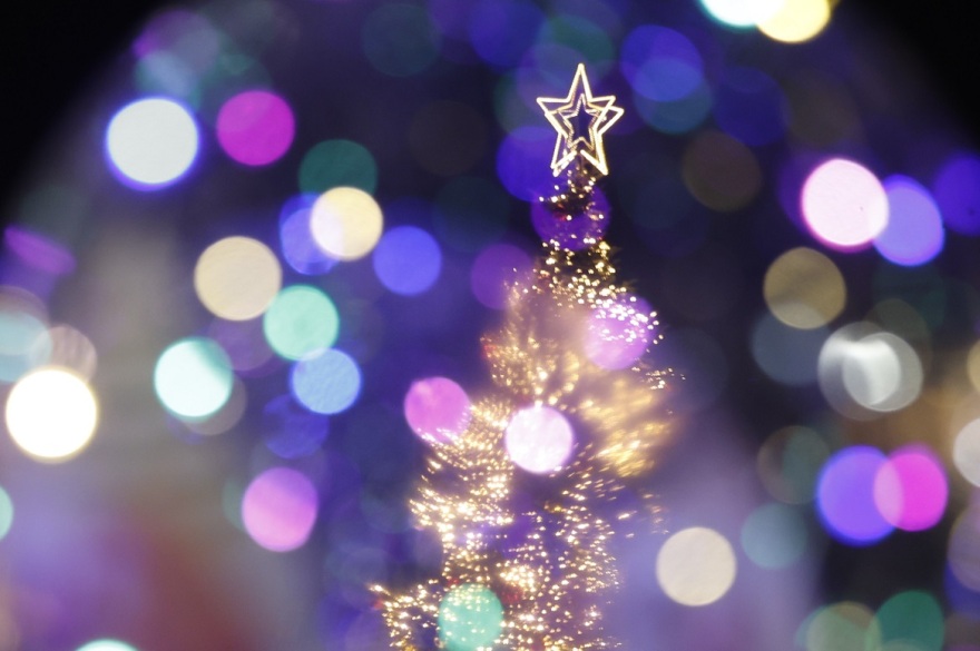 Η Αθήνα φόρεσε τα γιορτινά της - Φωταγωγήθηκε το χριστουγεννιάτικο δέντρο στο Σύνταγμα, δείτε βίντεο και φωτογραφίες