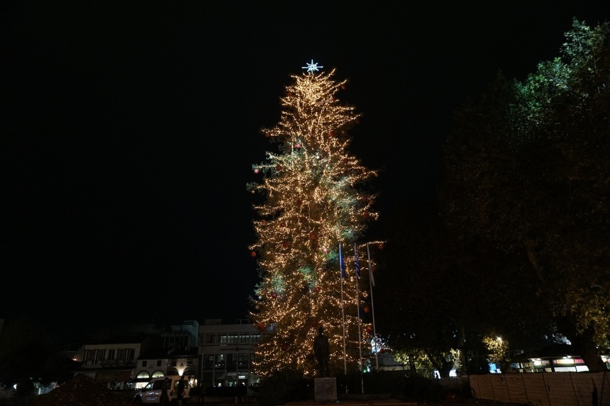 Τρίκαλα: Φωταγωγήθηκε το υψηλότερο φυσικό χριστουγεννιάτικο δέντρο - Δείτε φωτογραφίες