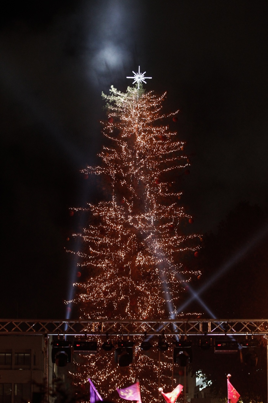 Τρίκαλα: Φωταγωγήθηκε το υψηλότερο φυσικό χριστουγεννιάτικο δέντρο - Δείτε φωτογραφίες