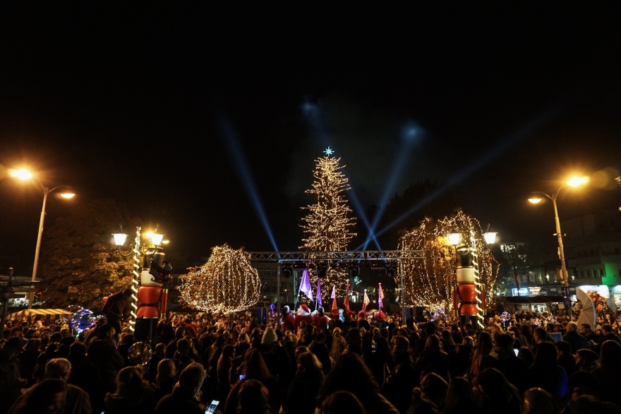 Τρίκαλα: Φωταγωγήθηκε το υψηλότερο φυσικό χριστουγεννιάτικο δέντρο - Δείτε φωτογραφίες