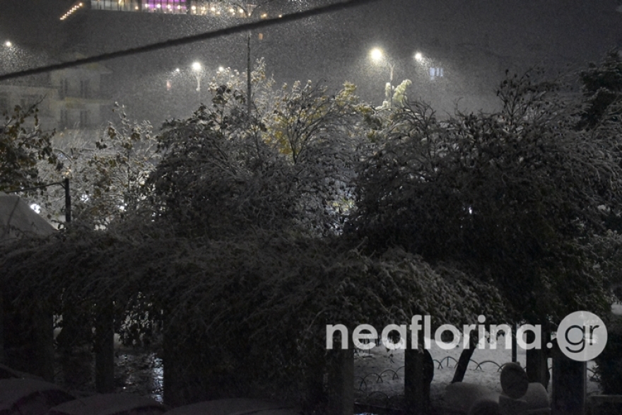 Κακοκαιρία «Bettina»: Νέο έκτακτο δελτίο της ΕΜΥ - Ισχυρές βροχές, χιονοπτώσεις και άνεμοι έως 10 μποφόρ σήμερα 