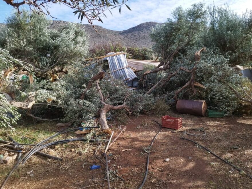 Ζημιές σε θερμοκήπια και ελιές προκάλεσαν οι ισχυροί άνεμοι στα Φαλάσαρνα Κισσάμου - Δείτε φωτογραφίες