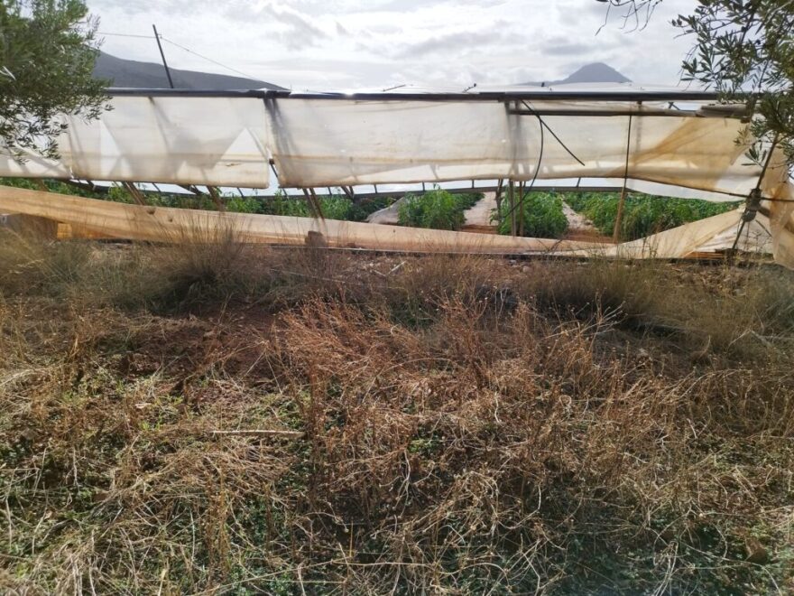 Ζημιές σε θερμοκήπια και ελιές προκάλεσαν οι ισχυροί άνεμοι στα Φαλάσαρνα Κισσάμου - Δείτε φωτογραφίες