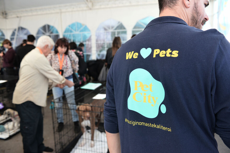 Ημέρα Υιοθεσίας Pet City: Πάνω από 100 σκυλάκια έχουν βρει τις παντοτινές τους οικογένειες