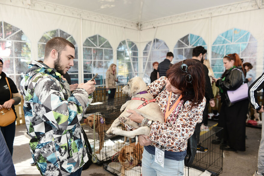 Ημέρα Υιοθεσίας Pet City: Πάνω από 100 σκυλάκια έχουν βρει τις παντοτινές τους οικογένειες