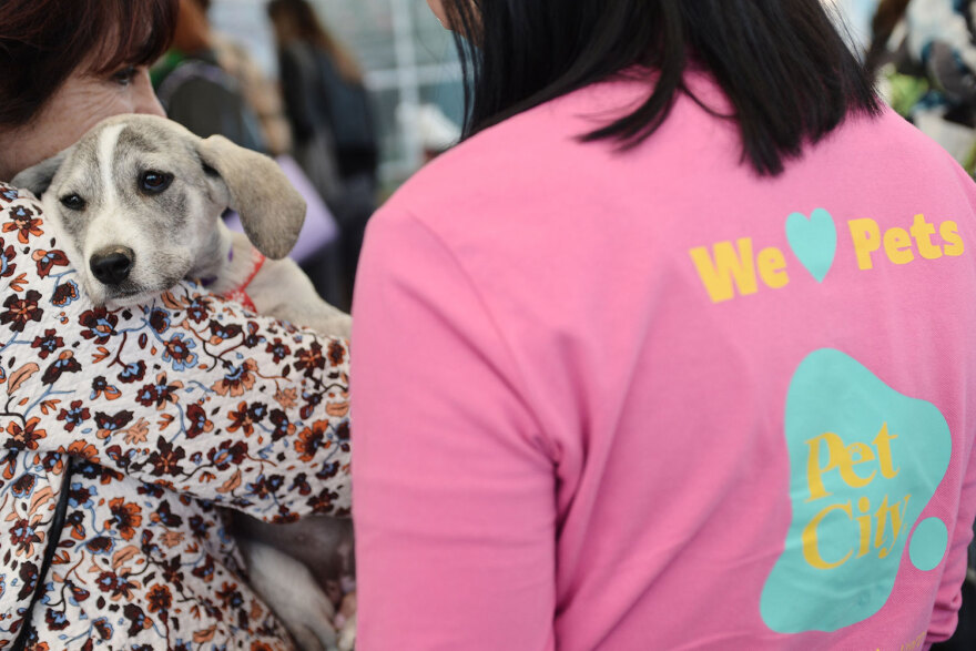 Ημέρα Υιοθεσίας Pet City: Πάνω από 100 σκυλάκια έχουν βρει τις παντοτινές τους οικογένειες