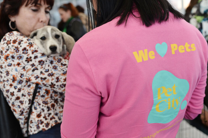 Ημέρα Υιοθεσίας Pet City: Πάνω από 100 σκυλάκια έχουν βρει τις παντοτινές τους οικογένειες