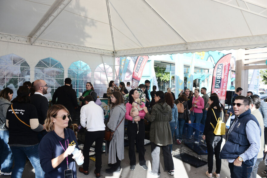 Ημέρα Υιοθεσίας Pet City: Πάνω από 100 σκυλάκια έχουν βρει τις παντοτινές τους οικογένειες
