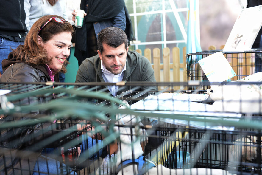 Ημέρα Υιοθεσίας Pet City: Πάνω από 100 σκυλάκια έχουν βρει τις παντοτινές τους οικογένειες
