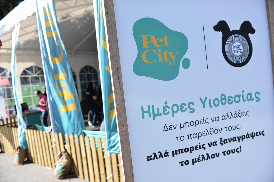 Ημέρα Υιοθεσίας Pet City: Πάνω από 100 σκυλάκια έχουν βρει τις παντοτινές τους οικογένειες