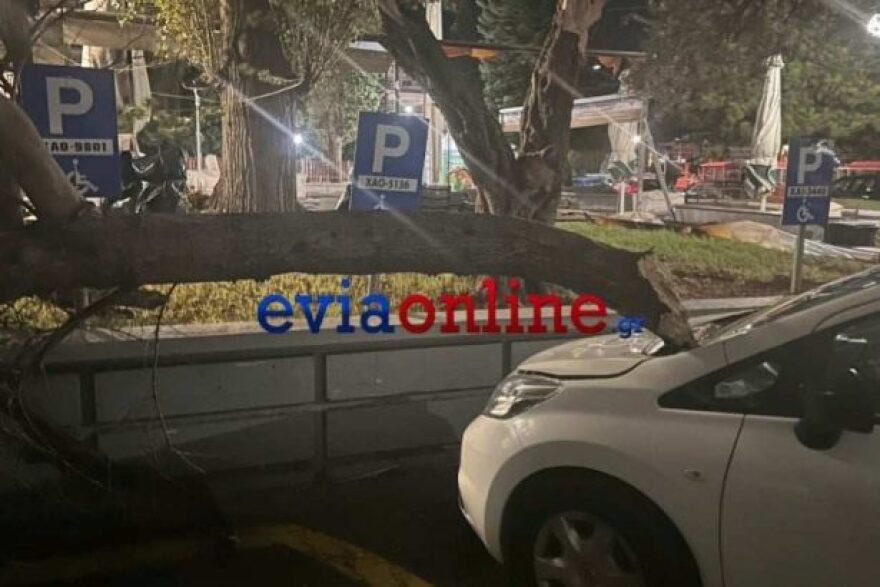 Κακοκαιρία Bettina: Θυελλώδεις άνεμοι στο κέντρο της Χαλκίδας - Δέντρα ξεριζώθηκαν και έπεσαν σε οχήματα 