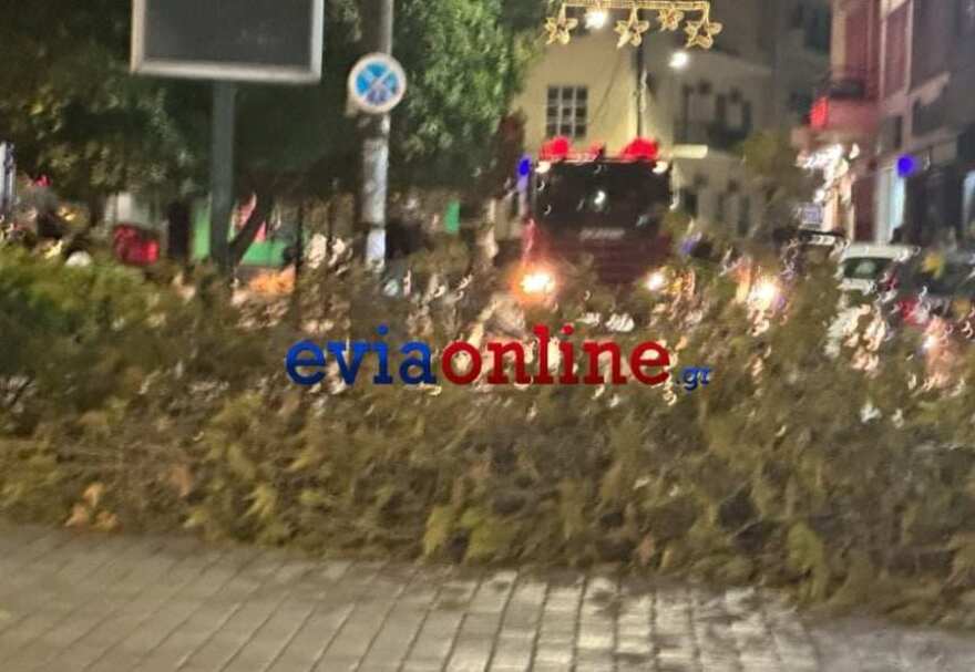 Κακοκαιρία Bettina: Θυελλώδεις άνεμοι στο κέντρο της Χαλκίδας - Δέντρα ξεριζώθηκαν και έπεσαν σε οχήματα 