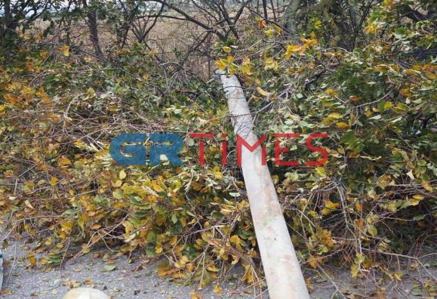 Κακοκαιρία Bettina: Ξεριζώθηκε πλάτανος και καταπλάκωσε δυο αυτοκίνητα στην Άνω Πόλη