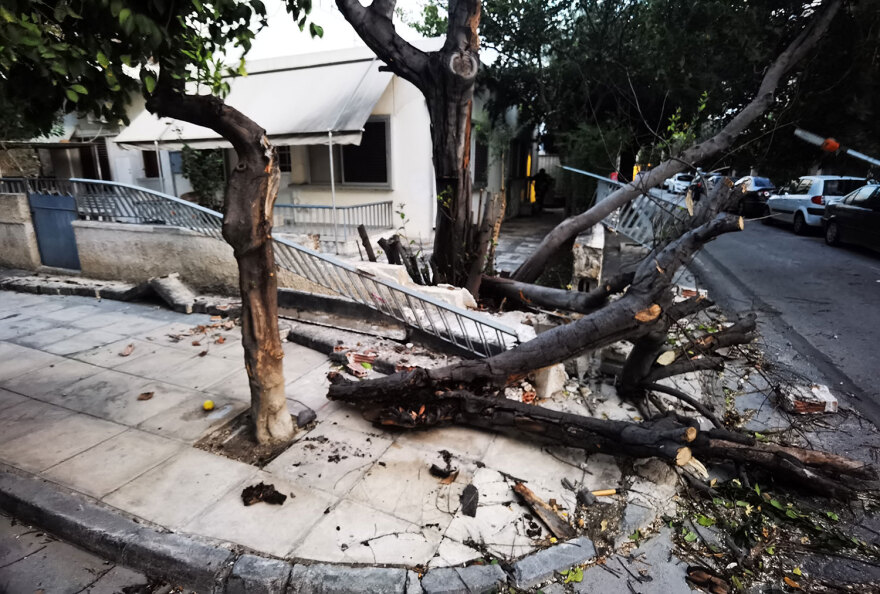 Κακοκαιρία στην Αττική: Πάνω από 50 κλήσεις στην Πυροσβεστική για δέντρα