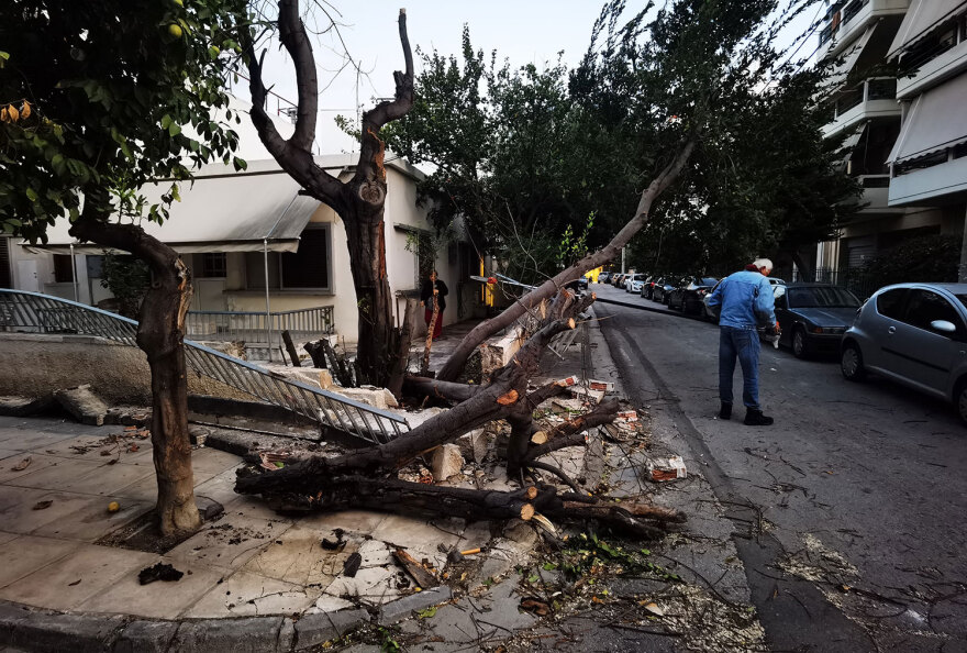 Κακοκαιρία στην Αττική: Πάνω από 50 κλήσεις στην Πυροσβεστική για δέντρα