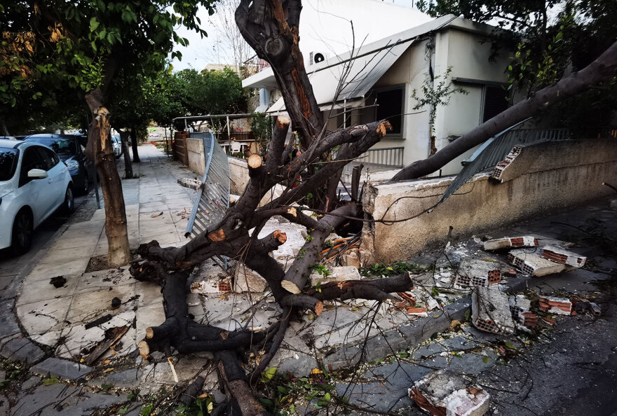 Κακοκαιρία στην Αττική: Πάνω από 50 κλήσεις στην Πυροσβεστική για δέντρα