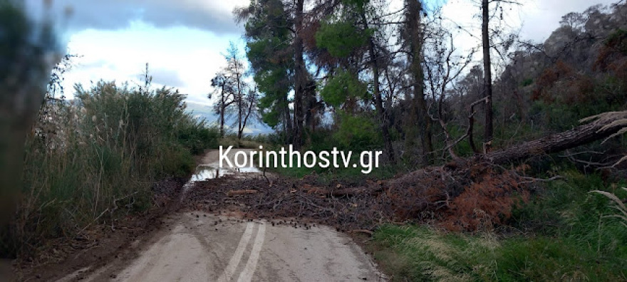 «Βούλιαξε» η μικρή Βενετία στη Μύκονο από τις καταιγίδες - Πού προκάλεσε προβλήματα η κακοκαιρία