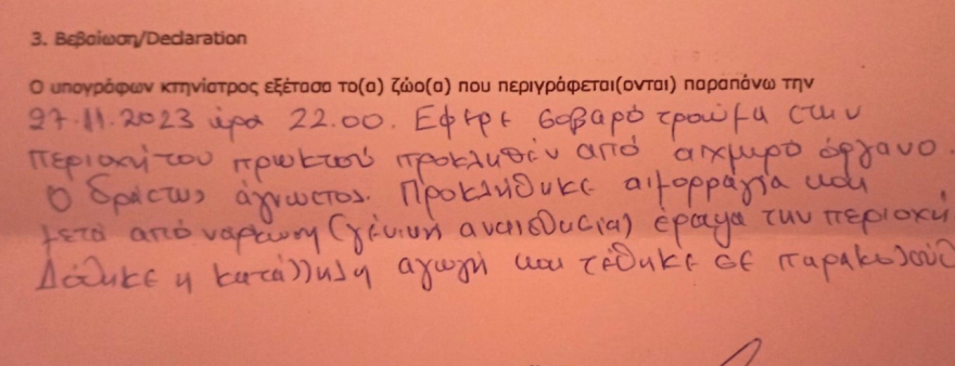 Φρίκη στην Αράχωβα: Άγνωστος κακοποίησε άγρια ένα χάσκι που δεν άντεξε και πέθανε