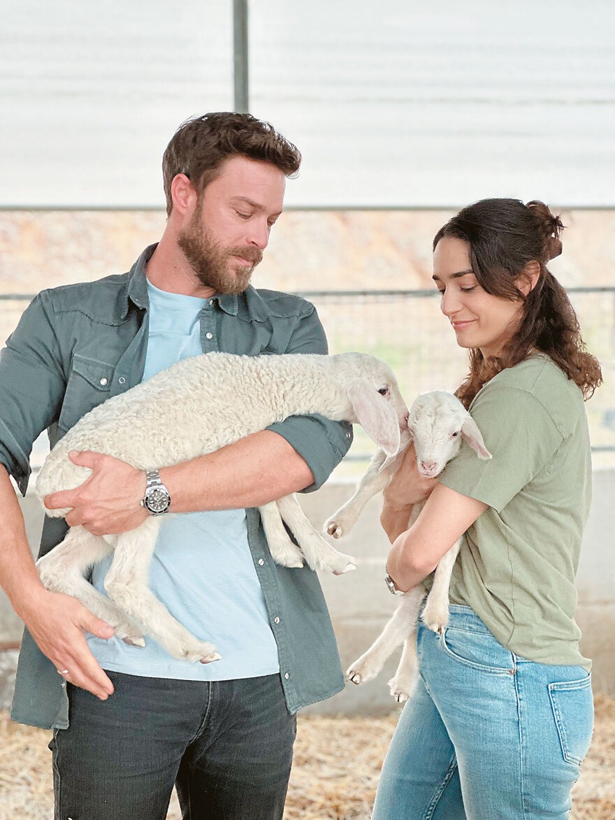 Famagusta, Maestro και Survivors: Οι σειρές και τα ριάλιτι που θα ξεκινήσουν από το νέο έτος