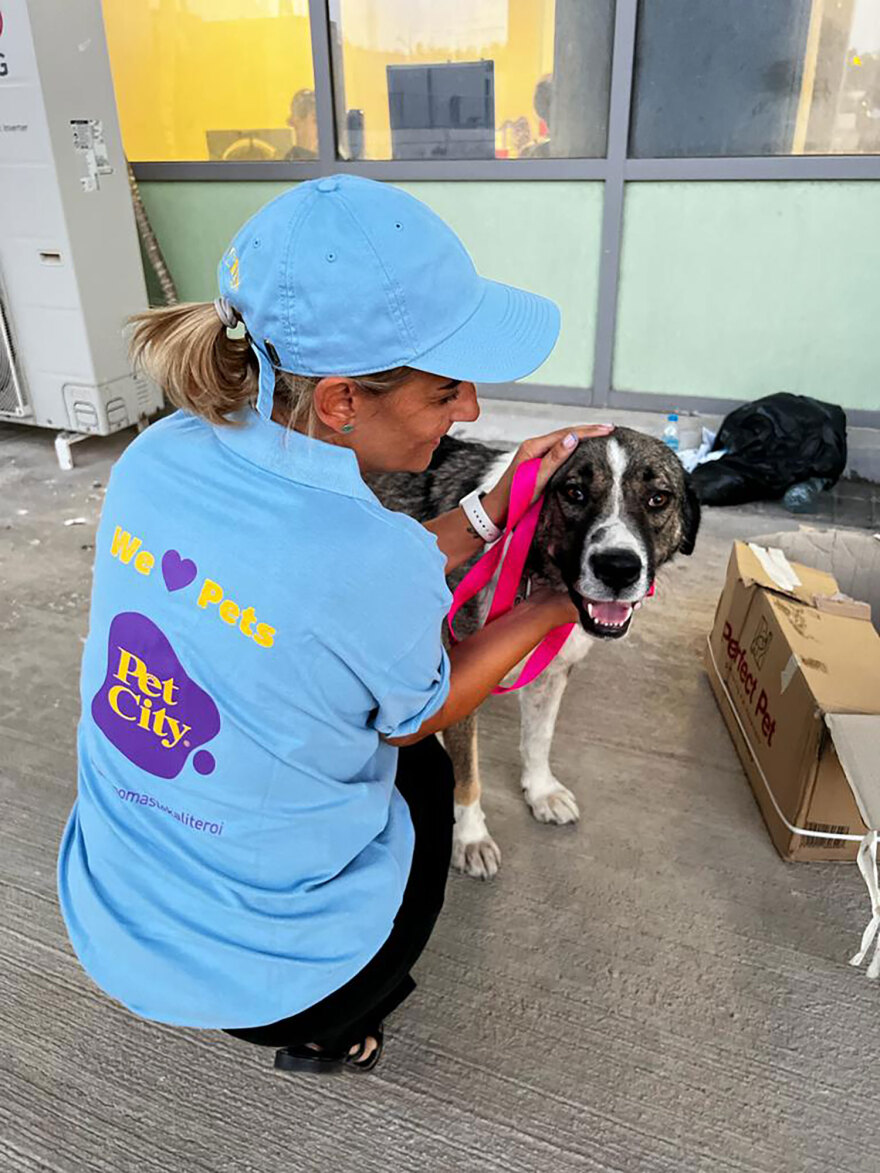 Act Pawsi+ive: Γνωρίστε τους ακούραστους εθελοντές των ζώων