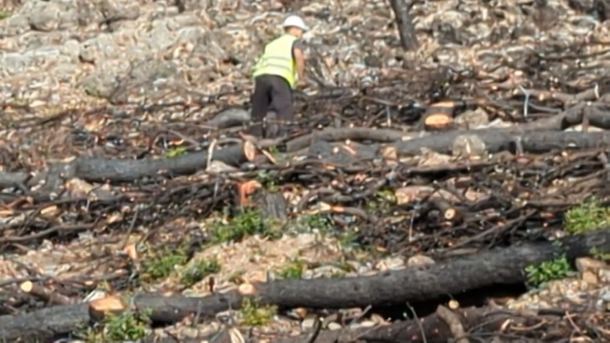 Πάρνηθα: Με ταχείς ρυθμούς προχωρούν τα έργα αποκατάστασης στα καμένα