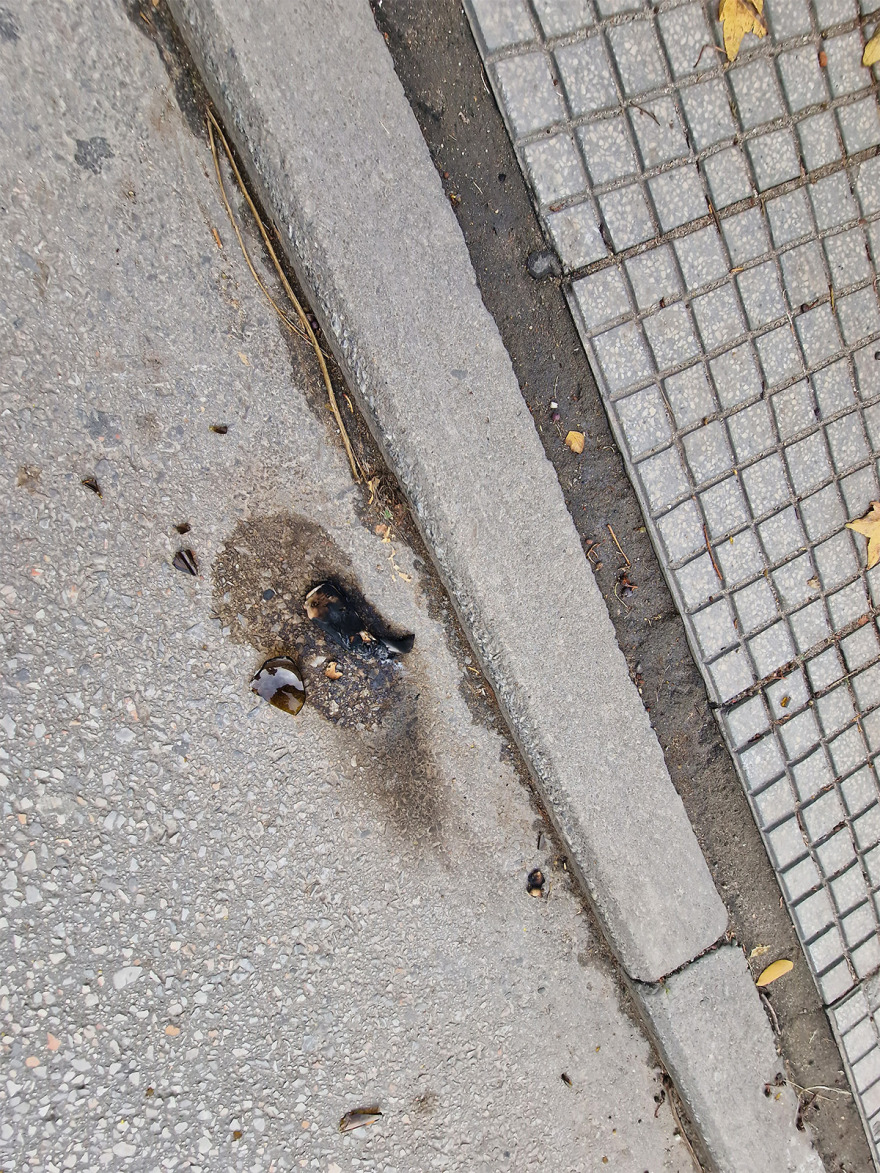 Θεσσαλονίκη: Κουκουλοφόροι επιτέθηκαν με μολότοφ σε διμοιρία των ΜΑΤ - Δείτε φωτογραφίες