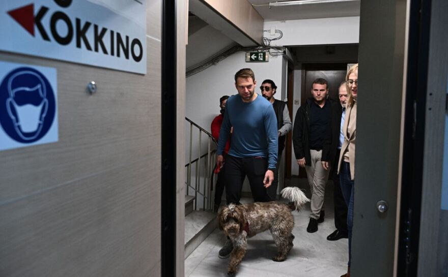 ΣΥΡΙΖΑ: Παραλίγο να απολυθεί δημοσιογράφος στο «Κόκκινο» μετά από ανάρτησή της για τον Κασσελάκη και τον σκύλο του