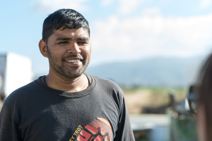 Ινδοί αγρότες έγιναν κτηνοτρόφοι σε μονάδα της Χαλκιδικής - «Μας χαμογέλασε η τύχη»